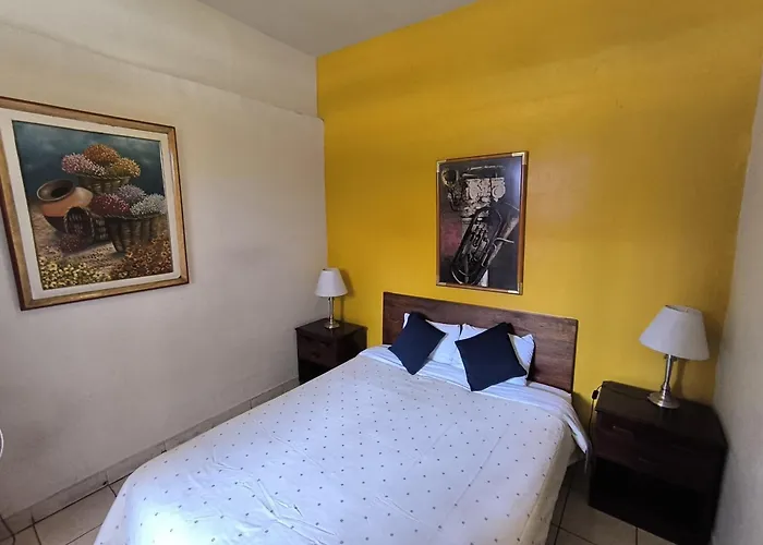 Flying Dog Hostels - Backpackers