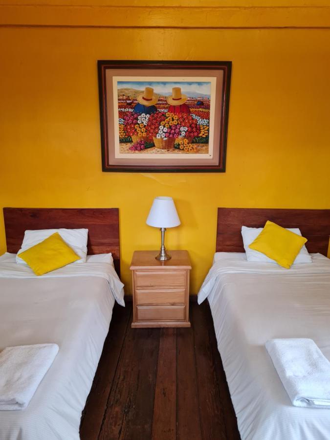 Flying Dog - Backpackers Hostel