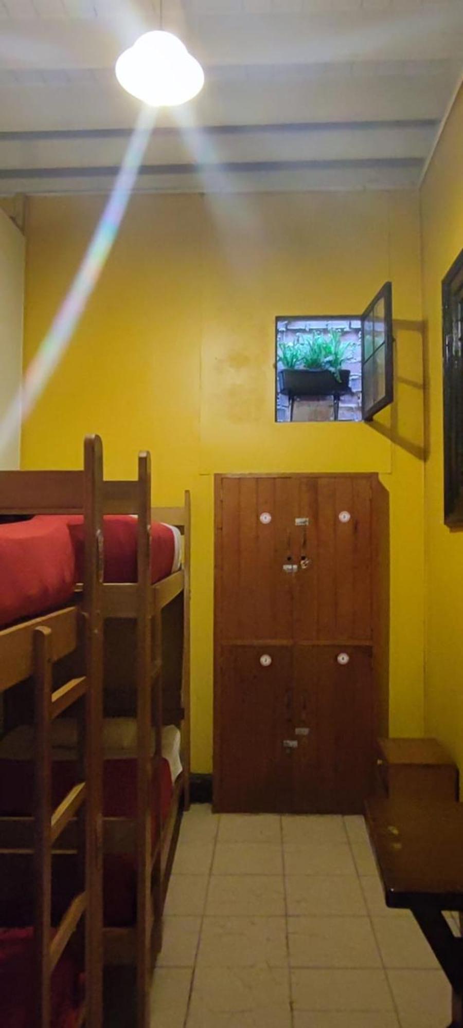 Flying Dog - Backpackers * Lima