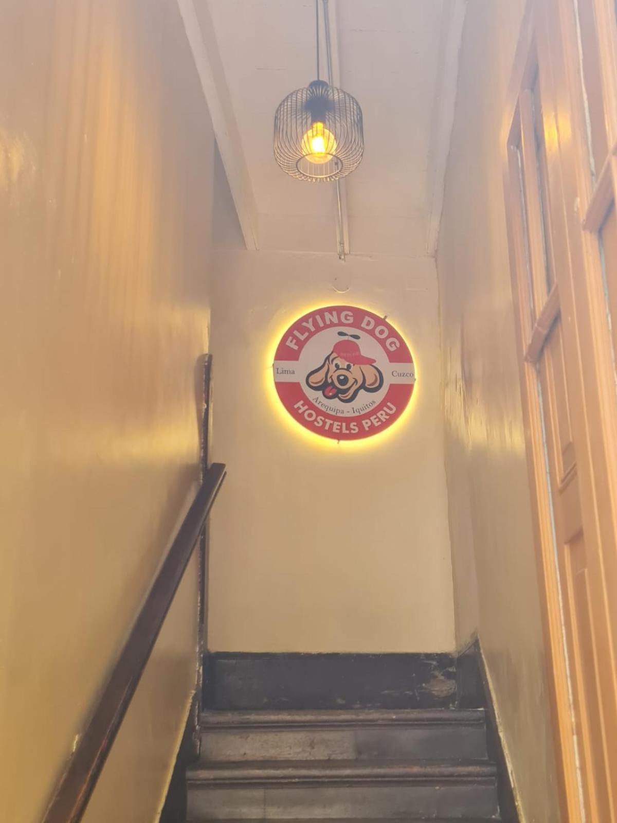 Hostel Flying Dog - Backpackers